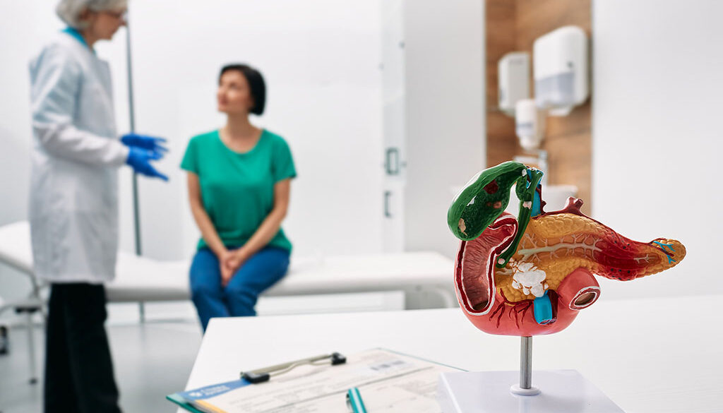 Closeup of an anatomical model of a pancreas with a doctor & patient discussing in the background RMG gastroenterology locations near you