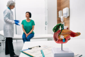 Closeup of an anatomical model of a pancreas with a doctor & patient discussing in the background RMG gastroenterology locations near you