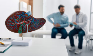 Closeup Of A Model Of A Liver With A Hepatologist In The Background Sharing An Autoimmune Hepatitis Diagnosis With A Patient