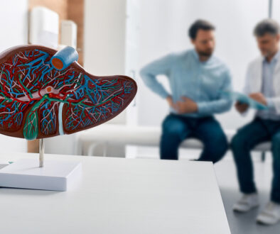 Closeup Of A Model Of A Liver With A Hepatologist In The Background Sharing An Autoimmune Hepatitis Diagnosis With A Patient